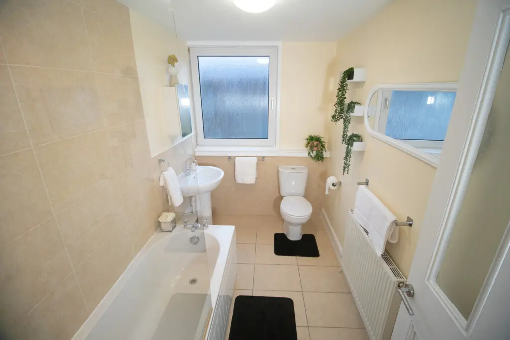 11637c43 c747 4133 b2b2 eb37fb6c39fc.jpg