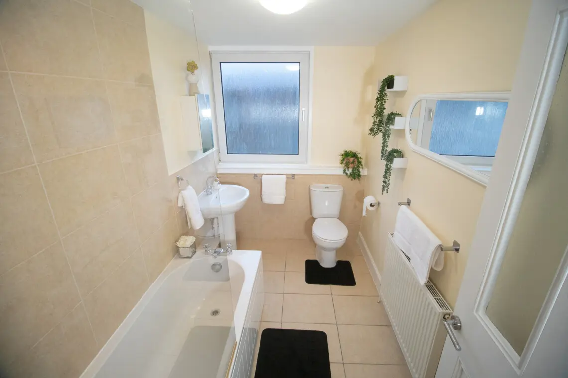 11637c43 c747 4133 b2b2 eb37fb6c39fc.jpg