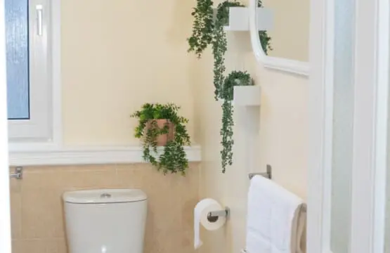 6b9aa00d f72f 4a1e 956c bad7267ecd59.jpg