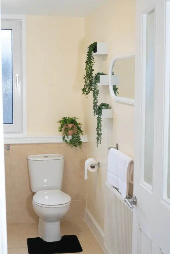 6b9aa00d f72f 4a1e 956c bad7267ecd59.jpg