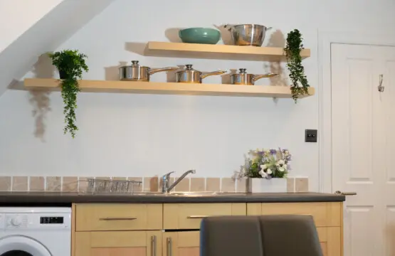 748f00d0 afa7 408d 9904 ab503ef228ad.jpg