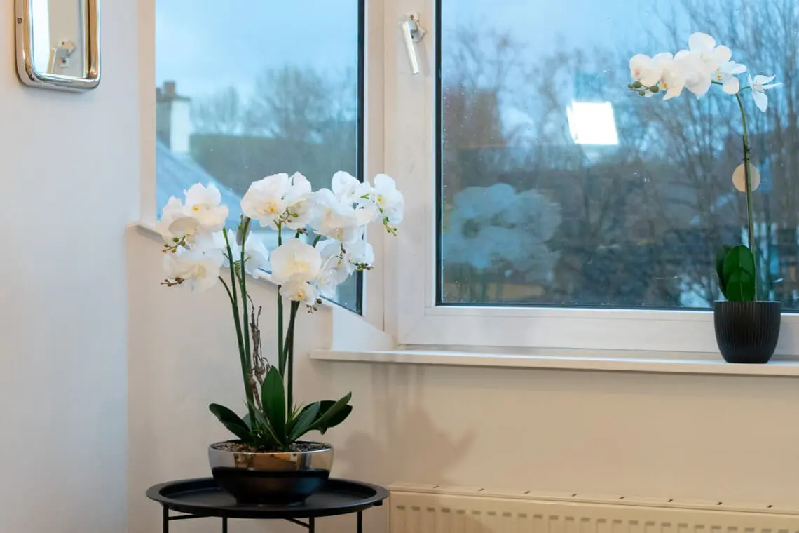 83cfbc08 ac53 4772 954e ddb46f541d54.jpg