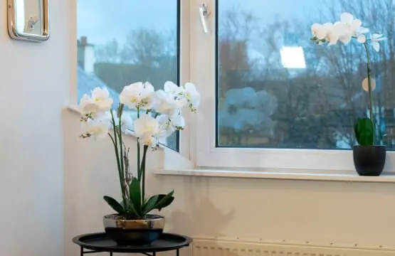 83cfbc08 ac53 4772 954e ddb46f541d54.jpg