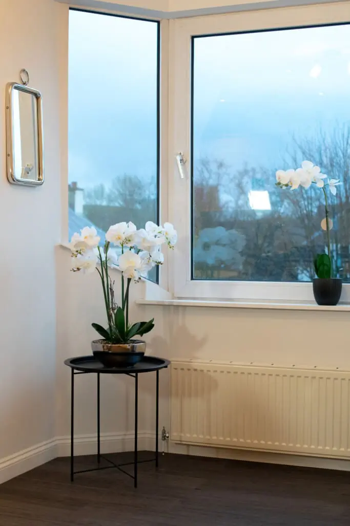 83cfbc08 ac53 4772 954e ddb46f541d54.jpg