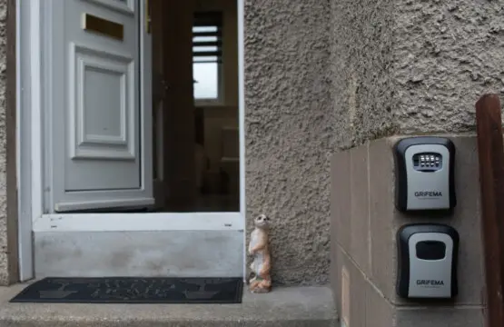 bfde977c eeb7 4fef 9f94 56544d09b1ff.jpg