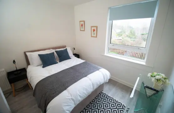 f0ed4571 655e 40e5 a612 c462ef5f2320.jpg